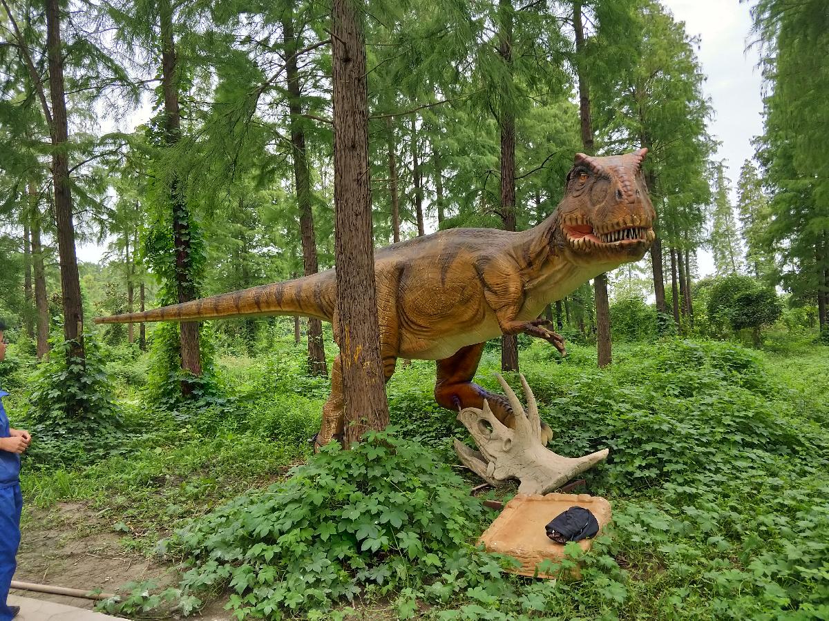 IMG20180913100011 IMG20180913100011